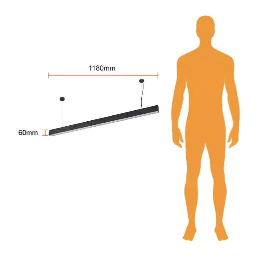 3.webp