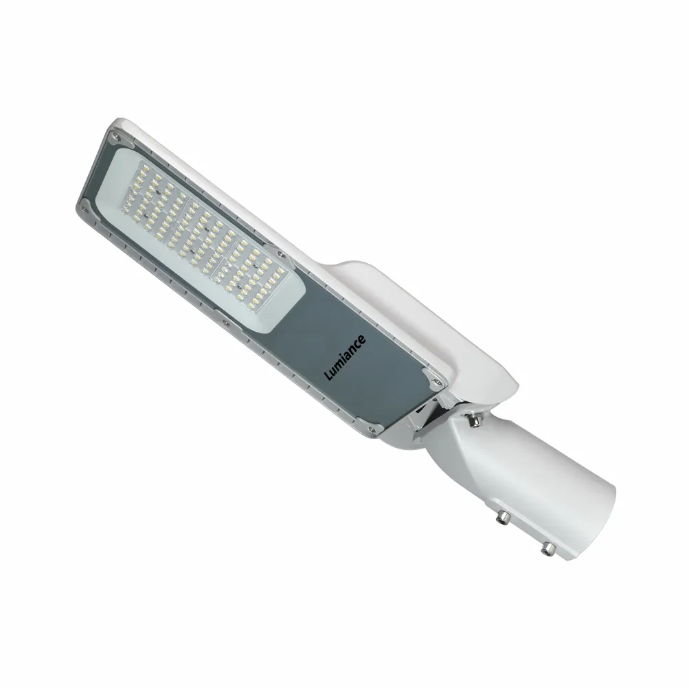 LED STREET LIGHT ZD229 120/277V, IP66, IK08, ATENUABLE, LUMIANCE